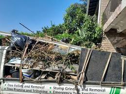 Best Basement Cleanout  in Angola, IN